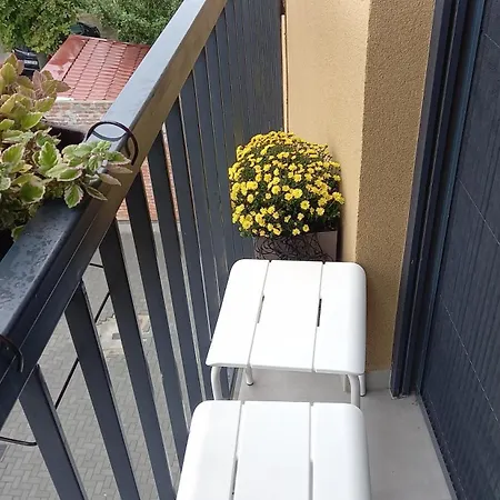 Liliom * Суботица