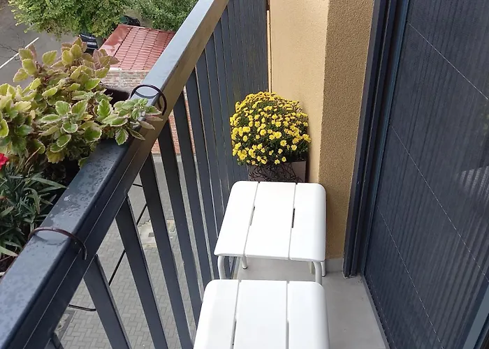 Liliom * 苏博蒂察